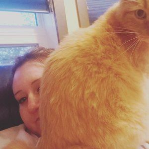 Meet your Posher, Alina